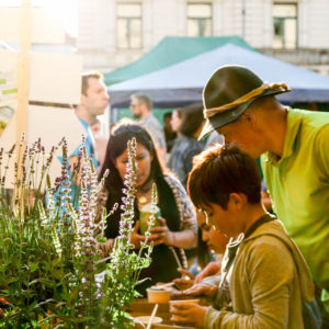 Busy bees at the Street Life festival