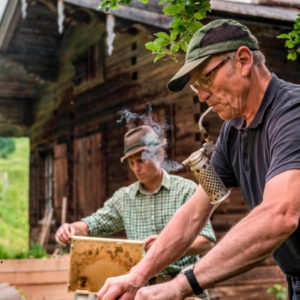 Echtes Schmankerl – Honig wie zu Omas Zeiten