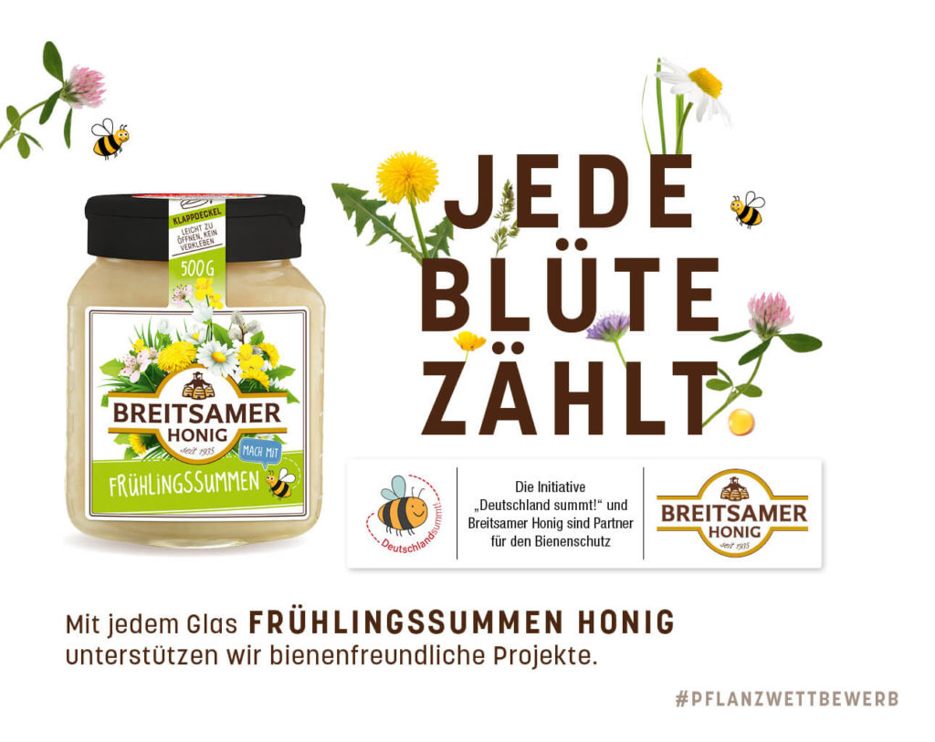 Jede Blüte zählt! Breitsamer Frühlingssumen Honig als Beitrag für bienenfreundliche Projekte