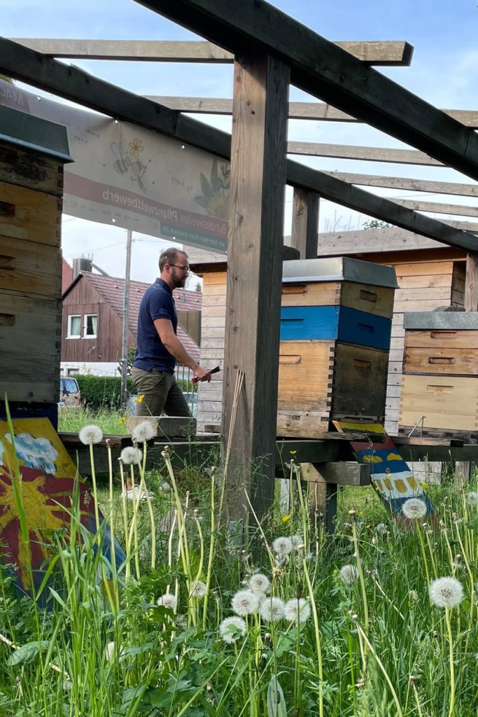 Philipp Bruder bei Bienenstöcke