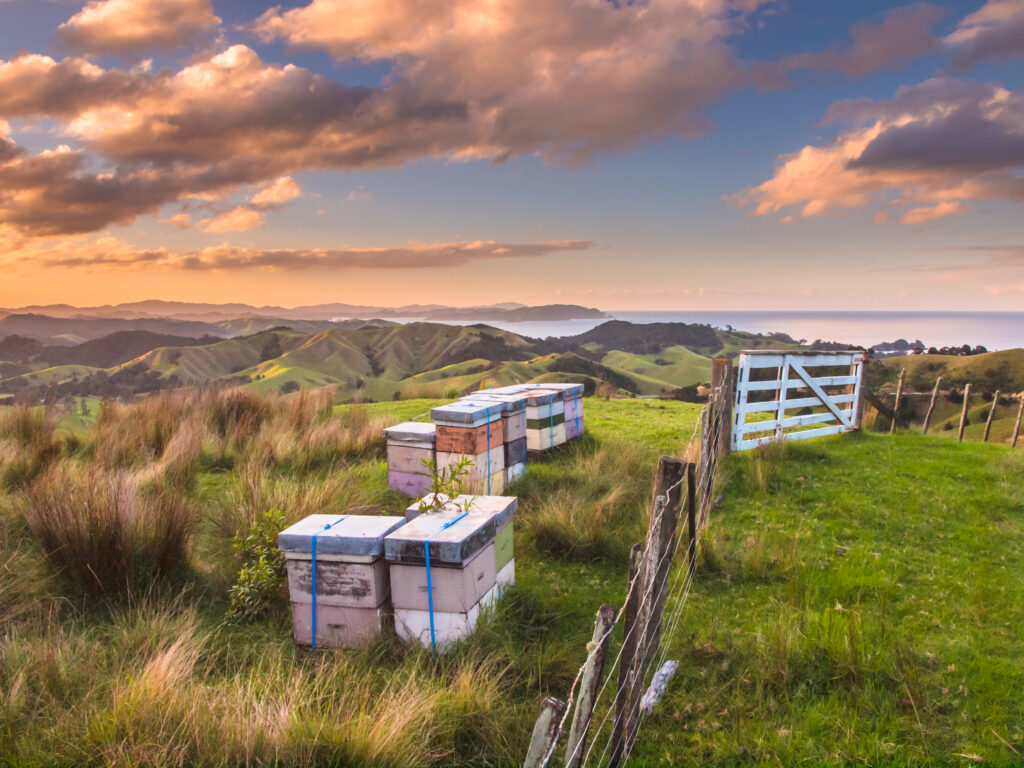 beautiful landscape