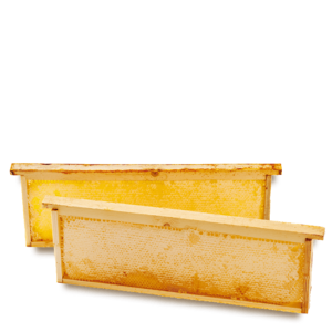 Breitsamer Honigwabe 2er Pack