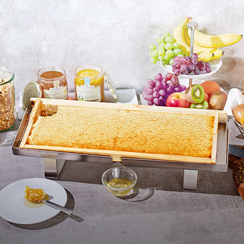 Breitsamer Honigwabe aufgestellt auf einem Frühstücksbuffet mit Obst und Müsli