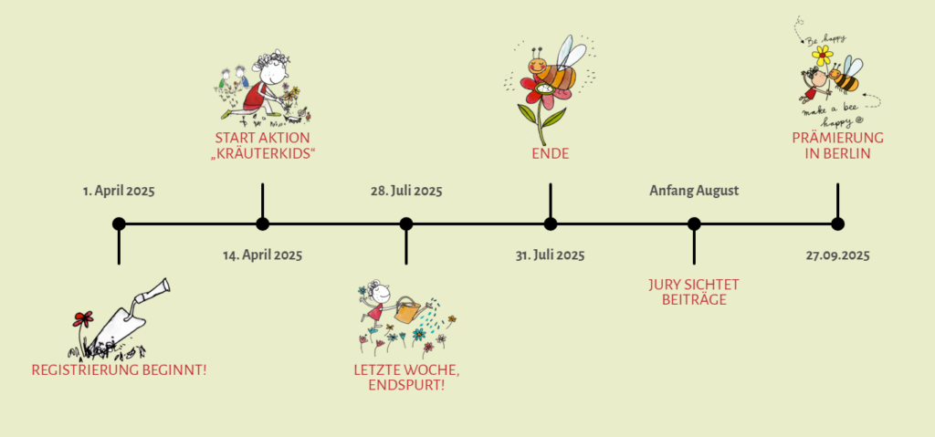 Ablaufplan des Wettbewerbs