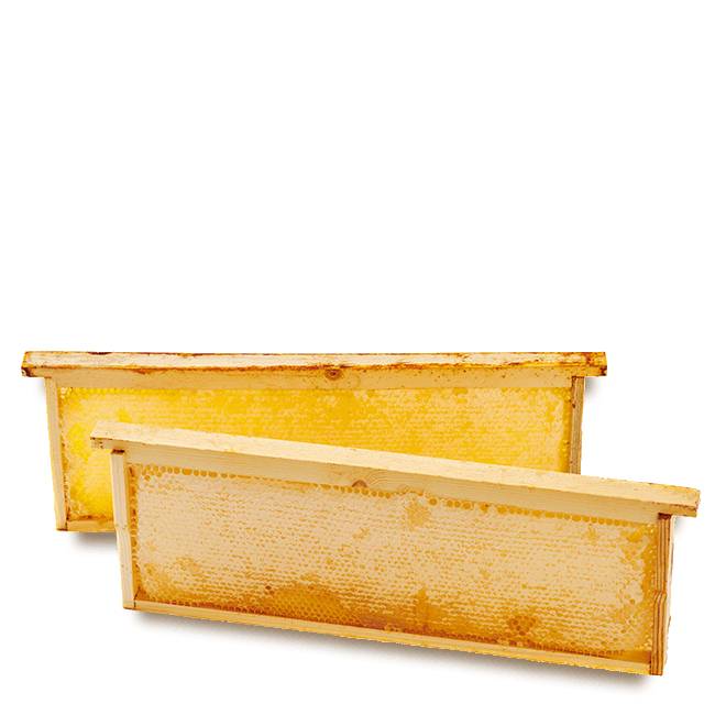 Buffet honeycomb, pack of 2 min. 1,9 kg