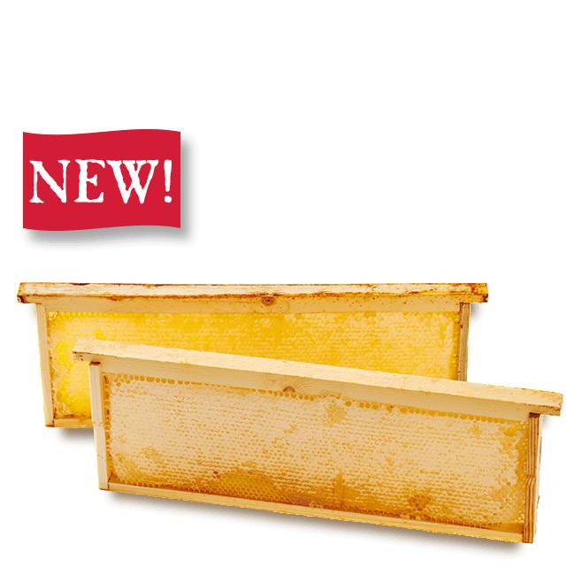 Buffet honeycomb, pack of 2 min. 1,9 kg